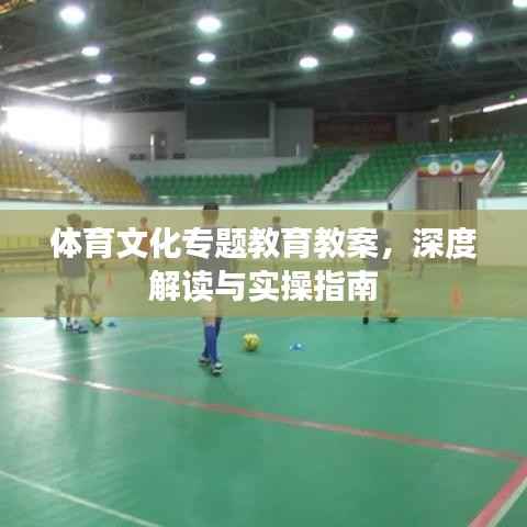 体育文化专题教育教案,深度解读与实操指南