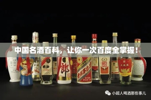 中国名酒百科,让你一次百度全掌握!