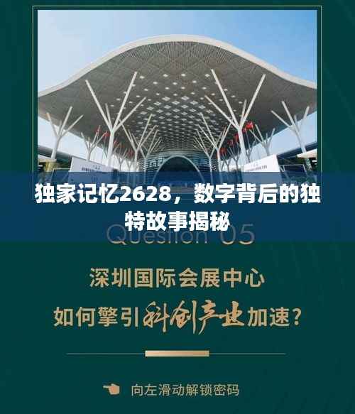 独家记忆2628,数字背后的独特故事揭秘