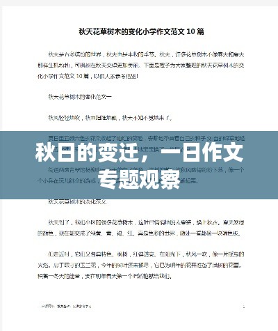 秋日的变迁,一日作文专题观察