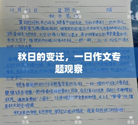 秋日的变迁,一日作文专题观察