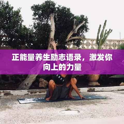 正能量养生励志语录,激发你向上的力量