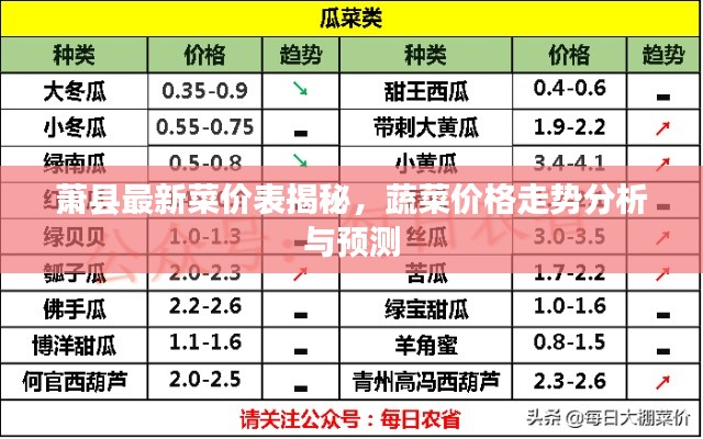 萧县最新菜价表揭秘,蔬菜价格走势分析与预测