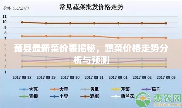 萧县最新菜价表揭秘,蔬菜价格走势分析与预测