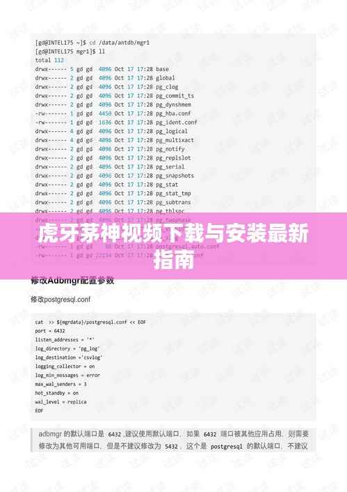 虎牙茅神视频下载与安装最新指南