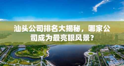 汕头公司排名大揭秘,哪家公司成为最亮眼风景?