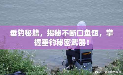 垂钓秘籍,揭秘不断口鱼饵,掌握垂钓秘密武器!