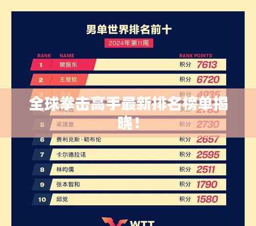 全球拳击高手最新排名榜单揭晓!