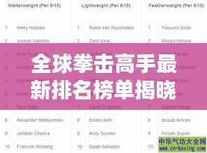全球拳击高手最新排名榜单揭晓!