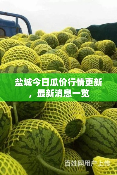 盐城今日瓜价行情更新,最新消息一览