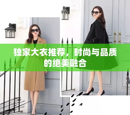 独家大衣推荐,时尚与品质的绝美融合