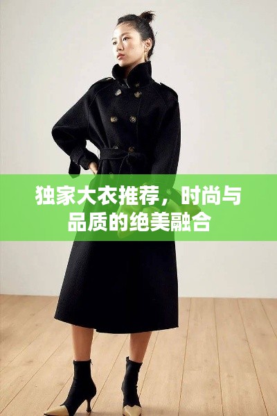 独家大衣推荐,时尚与品质的绝美融合