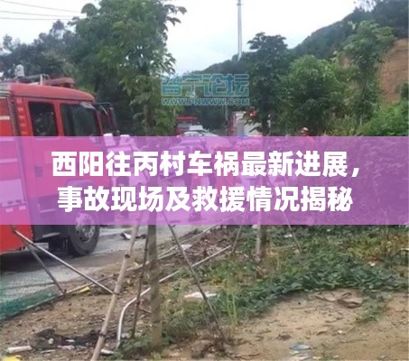 西阳往丙村车祸最新进展,事故现场及救援情况揭秘