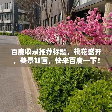 百度收录推荐标题,桃花盛开,美景如画,快来百度一下!