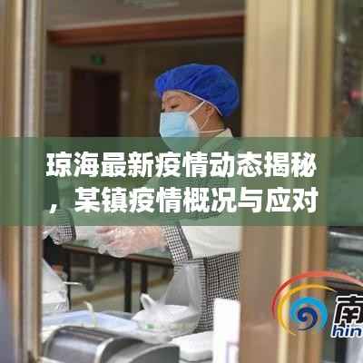 琼海最新疫情动态揭秘,某镇疫情概况与应对策略全面解读