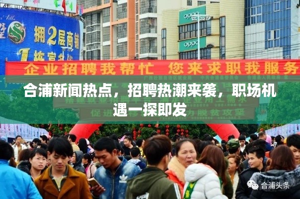 合浦新闻热点，招聘热潮来袭，职场机遇一探即发
