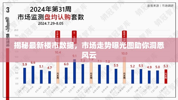 揭秘最新楼市数据,市场走势曝光图助你洞悉风云