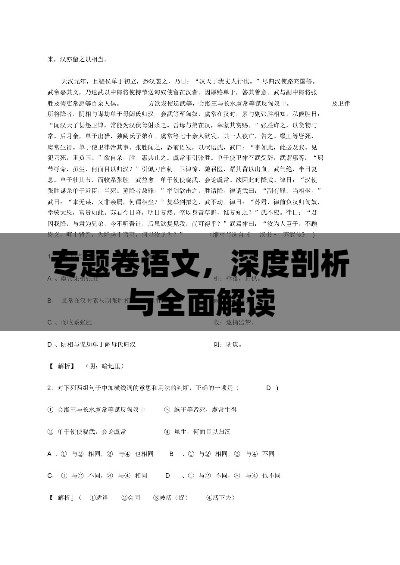 专题卷语文,深度剖析与全面解读