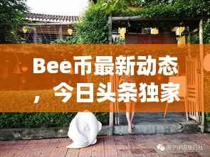 Bee币最新动态，今日头条独家爆料！