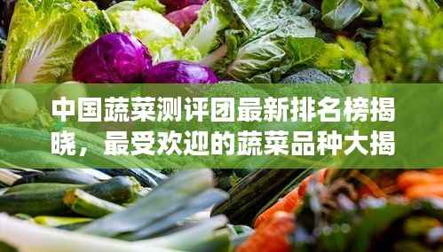 中国蔬菜测评团最新排名榜揭晓，最受欢迎的蔬菜品种大揭秘！