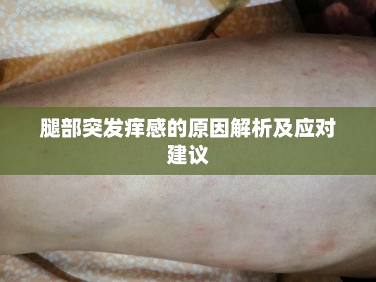 腿部突发痒感的原因解析及应对建议