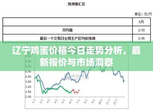 辽宁鸡蛋价格今日走势分析，最新报价与市场洞察