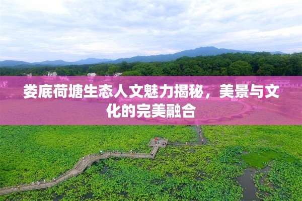 都中纸贵 第3页