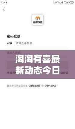 淘淘有喜最新动态今日揭秘