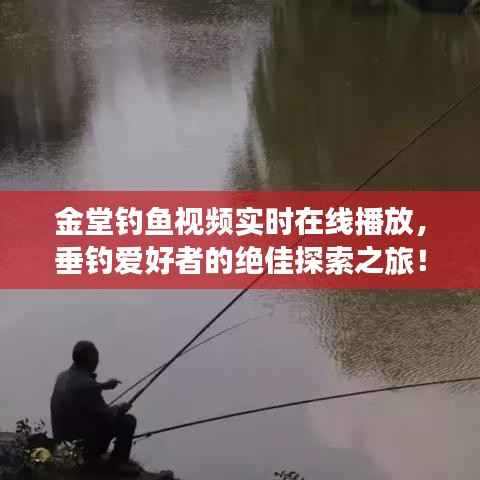 金堂钓鱼视频实时在线播放,垂钓爱好者的绝佳探索之旅!