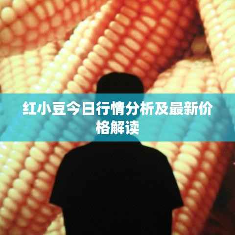 红小豆今日行情分析及最新价格解读